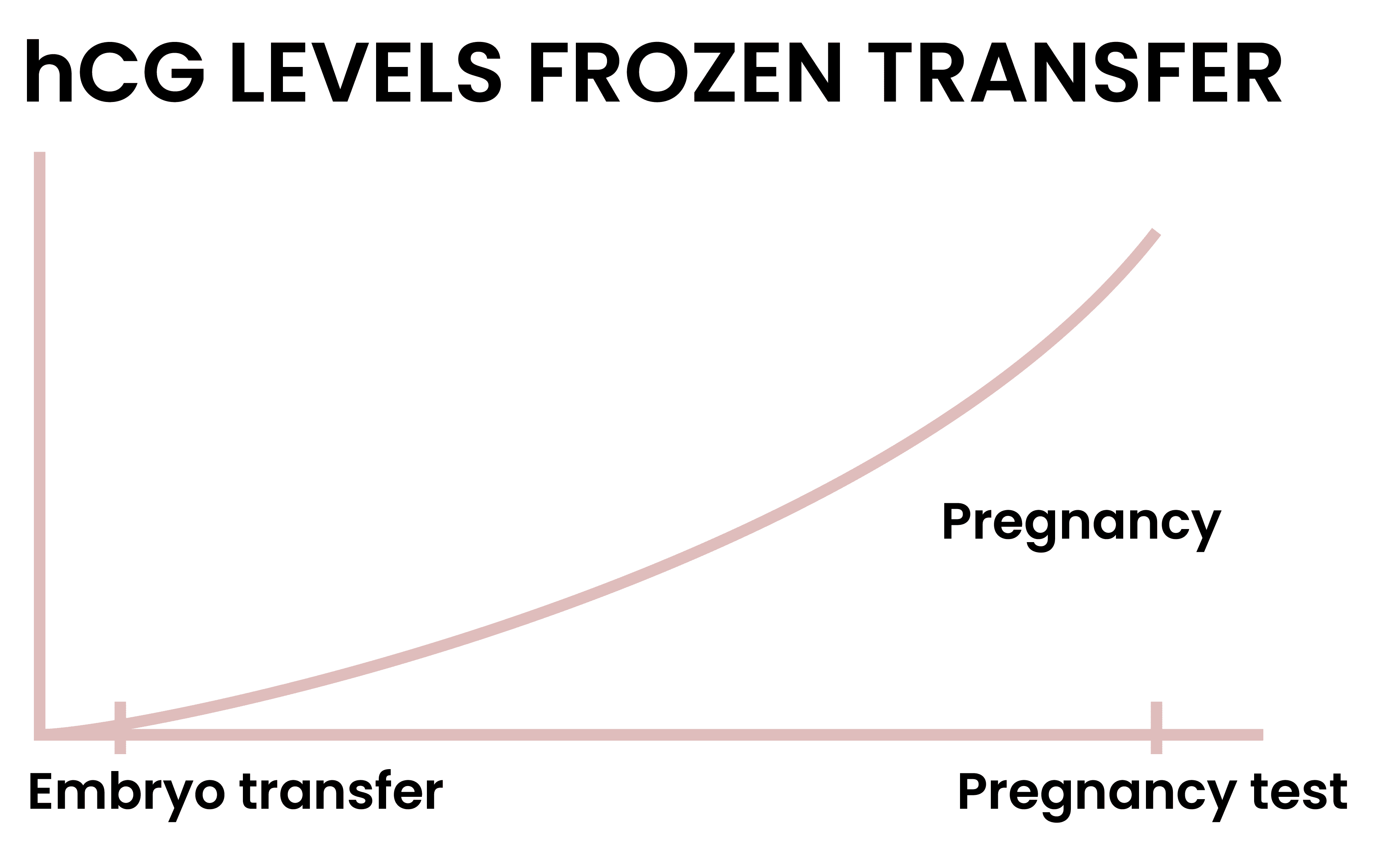 hCG-levels-frozen-transfer